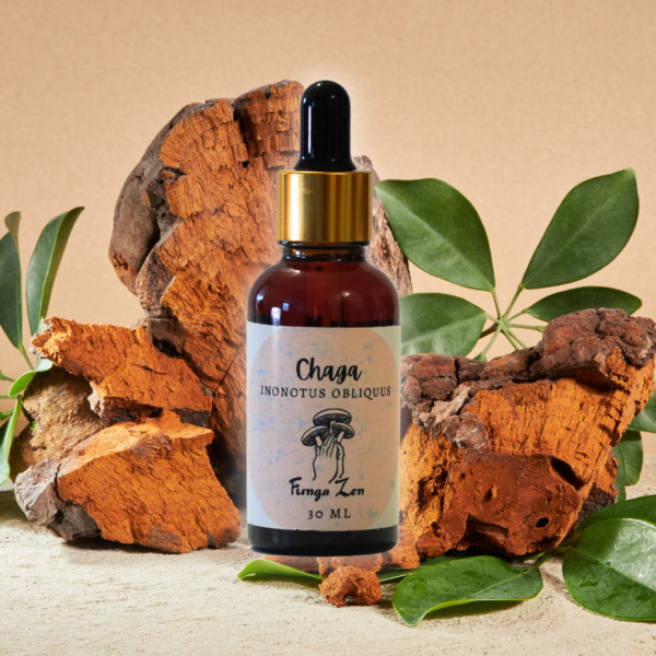 Extracto Chaga (Inonotus obliquus) - Suplemento Alimenticio - 30 ML