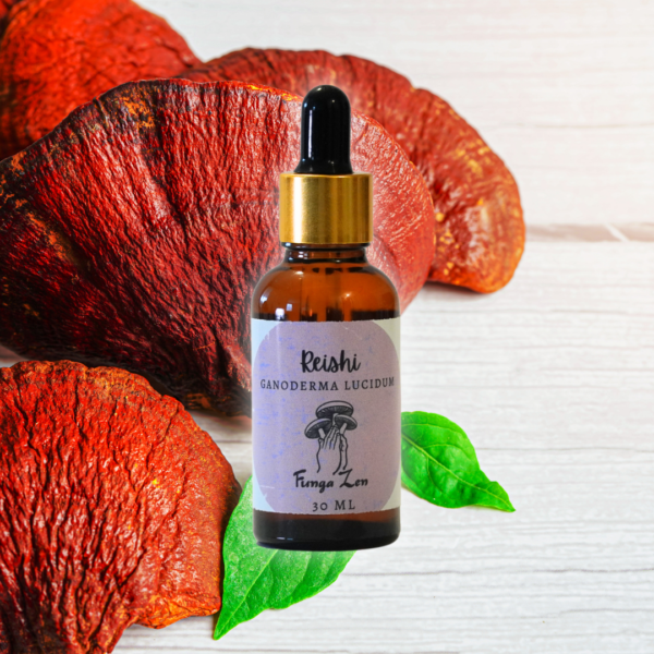 Extracto Reishi (Ganoderma lucidum) - Suplemento Alimenticio - 30 ml