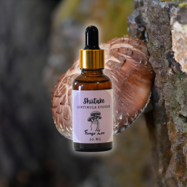 Extracto Shiitake (Lentinula Edodes) - Suplemento Alimenticio - 30 ml