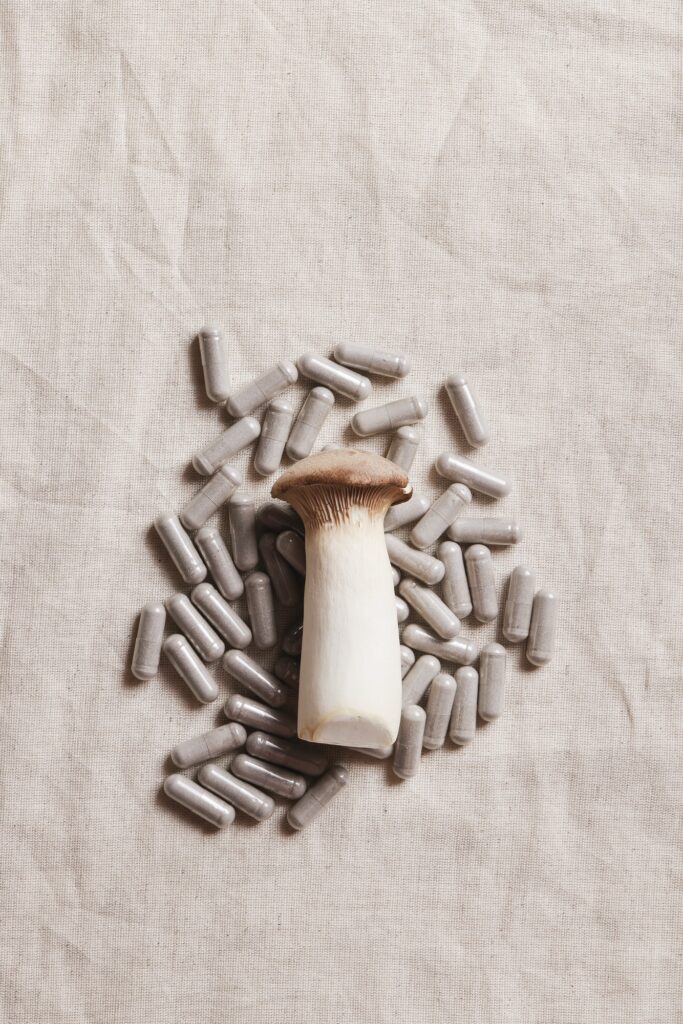 mushroom and natural herbal pills on textile gray background. environmental friendly