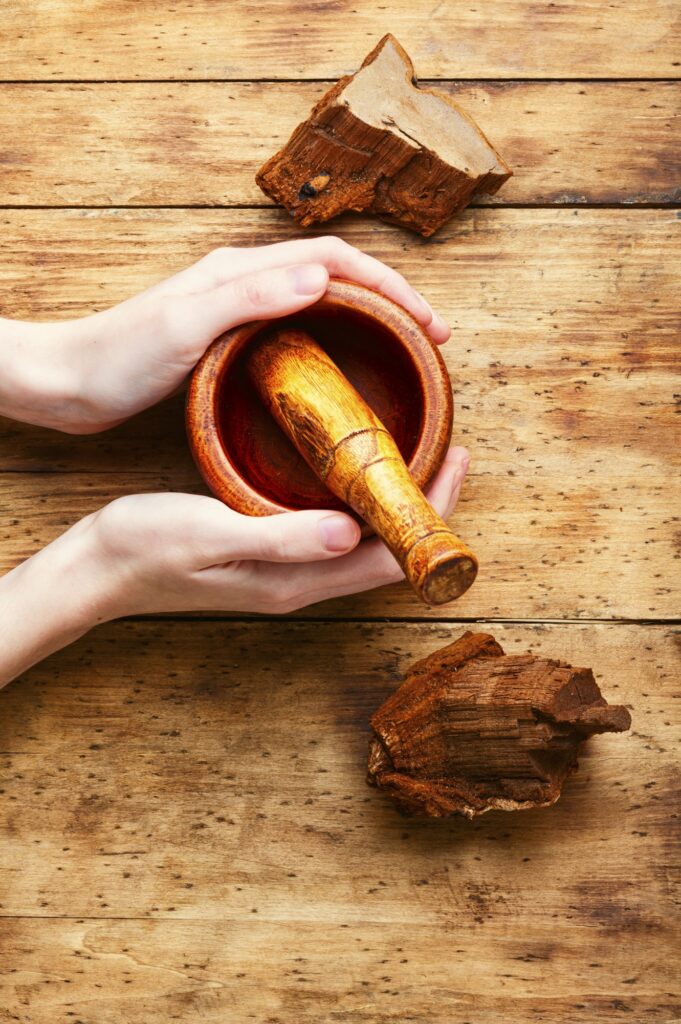 Tinder fungus in herbal medicine
